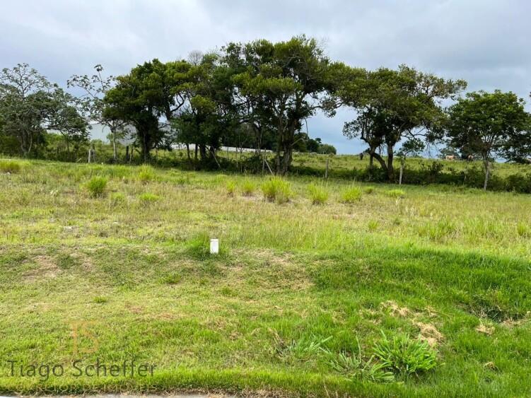 Lote em Passo de Torres 