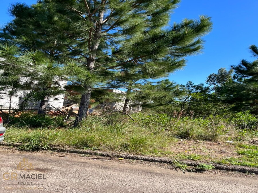 Lote em Passo de Torres 